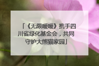 《无限暖暖》携手四川省绿化基金会，共同守护大熊猫家园