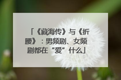 《藏海传》与《折腰》：男频剧、女频剧都在“爱”什么