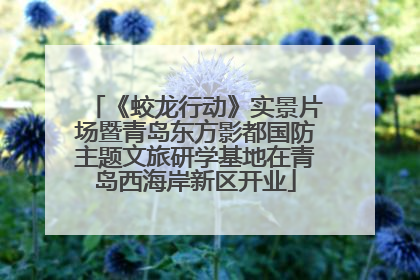 《蛟龙行动》实景片场暨青岛东方影都国防主题文旅研学基地在青岛西海岸新区开业