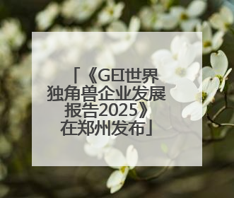 《GEI世界独角兽企业发展报告2025》在郑州发布