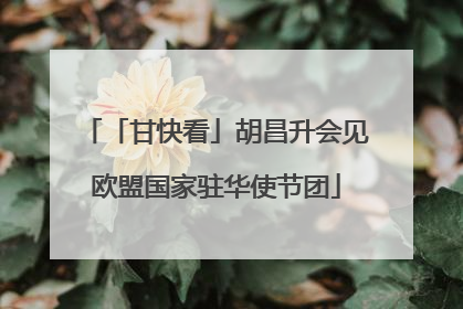 「甘快看」胡昌升会见欧盟国家驻华使节团