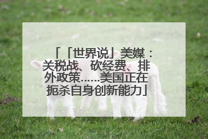 「世界说」美媒：关税战、砍经费、排外政策……美国正在扼杀自身创新能力