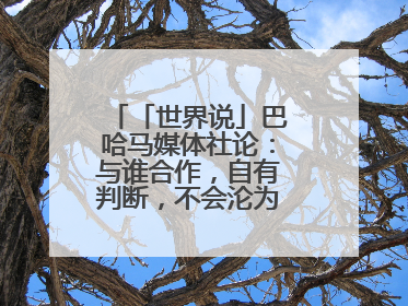 「世界说」巴哈马媒体社论：与谁合作，自有判断，不会沦为“权力游戏”
