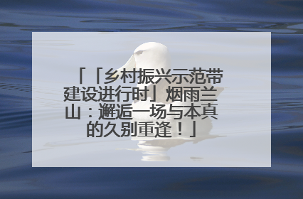 「乡村振兴示范带建设进行时」烟雨兰山：邂逅一场与本真的久别重逢！