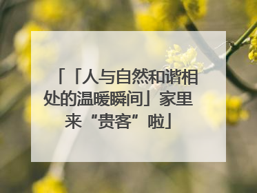 「人与自然和谐相处的温暖瞬间」家里来“贵客”啦