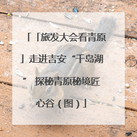 「旅发大会看青原」走进吉安“千岛湖” 探秘青原秘境匠心谷（图）
