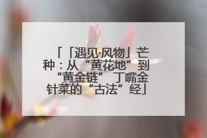 「遇见·风物」芒种：从“黄花地”到“黄金链” 丁嘴金针菜的“古法”经