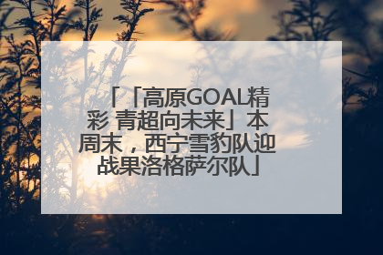 「高原GOAL精彩 青超向未来」本周末，西宁雪豹队迎战果洛格萨尔队