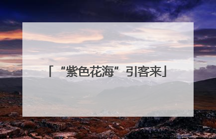“紫色花海”引客来