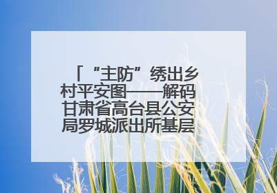 “主防”绣出乡村平安图——解码甘肃省高台县公安局罗城派出所基层治理新实践
