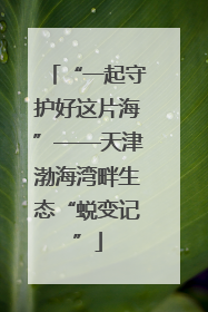 “一起守护好这片海”——天津渤海湾畔生态“蜕变记”