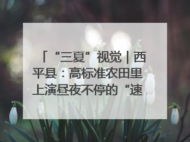 “三夏”视觉｜西平县：高标准农田里上演昼夜不停的“速度与激情”