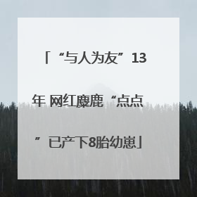 “与人为友”13年 网红麋鹿“点点”已产下8胎幼崽