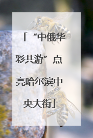 “中俄华彩共游”点亮哈尔滨中央大街