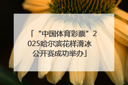 “中国体育彩票”2025哈尔滨花样滑冰公开赛成功举办