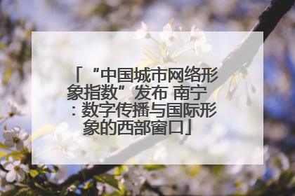 “中国城市网络形象指数”发布 南宁：数字传播与国际形象的西部窗口