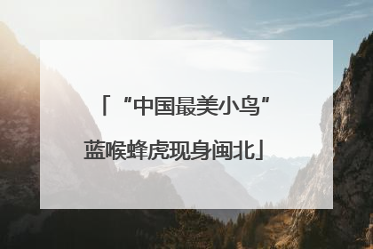 “中国最美小鸟”蓝喉蜂虎现身闽北