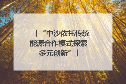 “中沙依托传统能源合作模式探索多元创新”