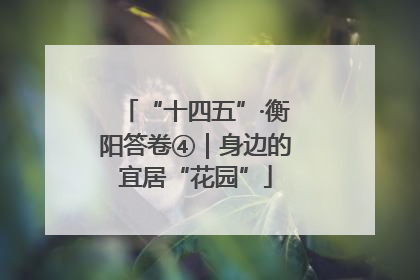 “十四五”·衡阳答卷④｜身边的宜居“花园”