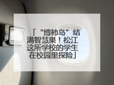 “博柿岛”结满智慧果！松江这所学校的学生在校园里探险