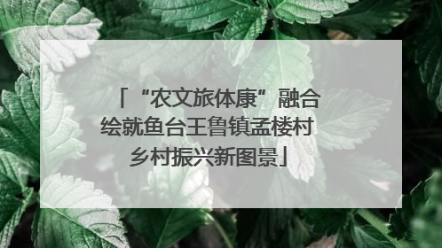 “农文旅体康”融合绘就鱼台王鲁镇孟楼村乡村振兴新图景