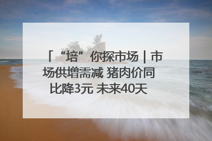 “培”你探市场｜市场供增需减 猪肉价同比降3元 未来40天便宜猪肉敞开吃