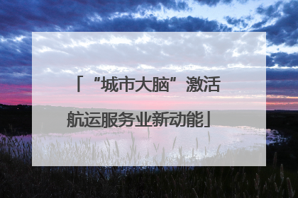 “城市大脑”激活航运服务业新动能