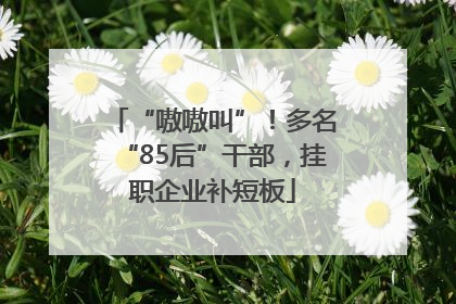 “嗷嗷叫”！多名“85后”干部，挂职企业补短板
