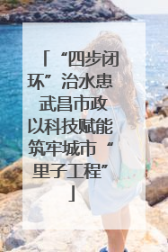 “四步闭环”治水患 武昌市政以科技赋能筑牢城市“里子工程”