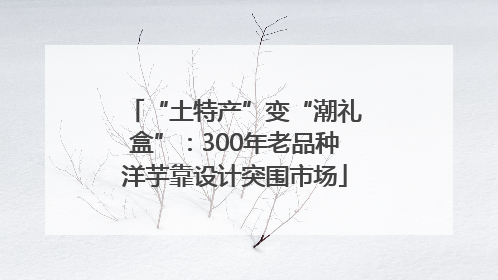 “土特产”变“潮礼盒”：300年老品种洋芋靠设计突围市场
