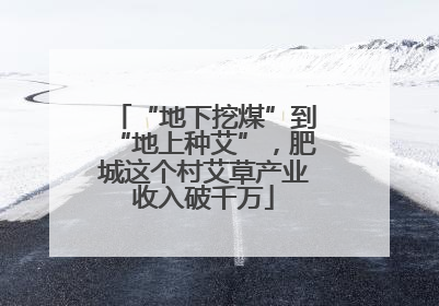 “地下挖煤”到“地上种艾”，肥城这个村艾草产业收入破千万