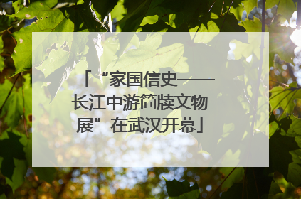 “家国信史——长江中游简牍文物展”在武汉开幕