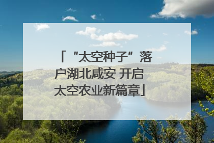 “太空种子”落户湖北咸安 开启太空农业新篇章