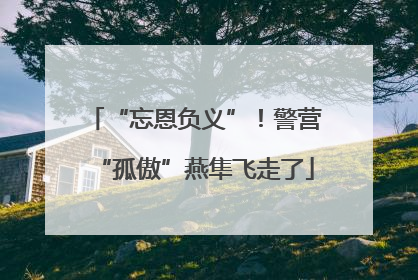 “忘恩负义”！警营“孤傲”燕隼飞走了