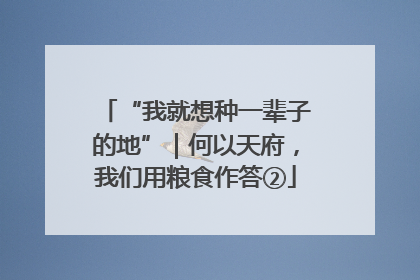 “我就想种一辈子的地”｜何以天府，我们用粮食作答②