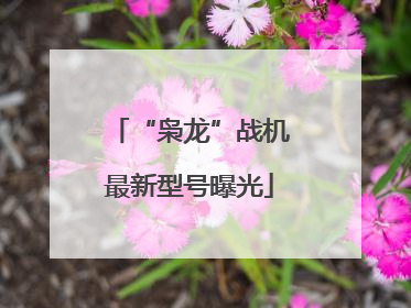 “枭龙”战机最新型号曝光