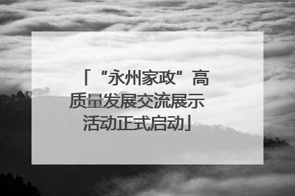“永州家政”高质量发展交流展示活动正式启动