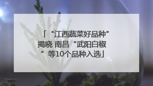 “江西蔬菜好品种”揭晓 南昌“武阳白椒”等10个品种入选