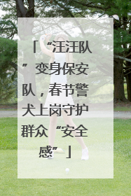 “汪汪队”变身保安队，春节警犬上岗守护群众“安全感”