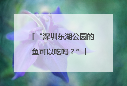 “深圳东湖公园的鱼可以吃吗？”