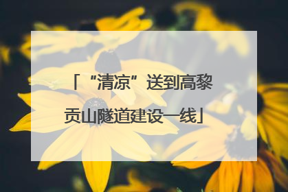 “清凉”送到高黎贡山隧道建设一线