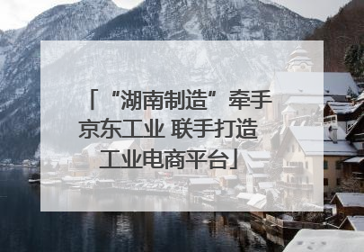 “湖南制造”牵手京东工业 联手打造工业电商平台