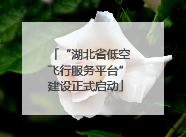 “湖北省低空飞行服务平台”建设正式启动