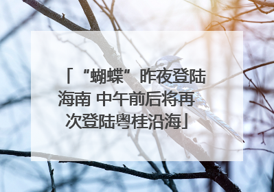 “蝴蝶”昨夜登陆海南 中午前后将再次登陆粤桂沿海