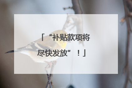 “补贴款项将尽快发放”！