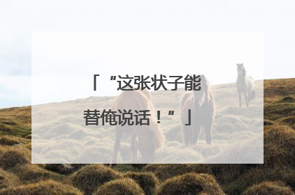 “这张状子能替俺说话！”