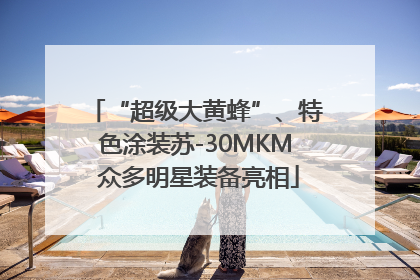 “超级大黄蜂”、特色涂装苏-30MKM 众多明星装备亮相