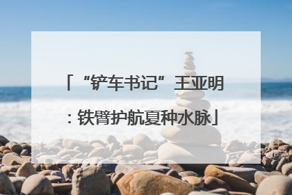 “铲车书记”王亚明：铁臂护航夏种水脉