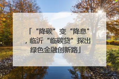 “降碳”变“降息”，临沂“临碳贷”探出绿色金融创新路