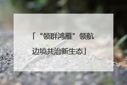 “领群鸿雁”领航边境共治新生态
